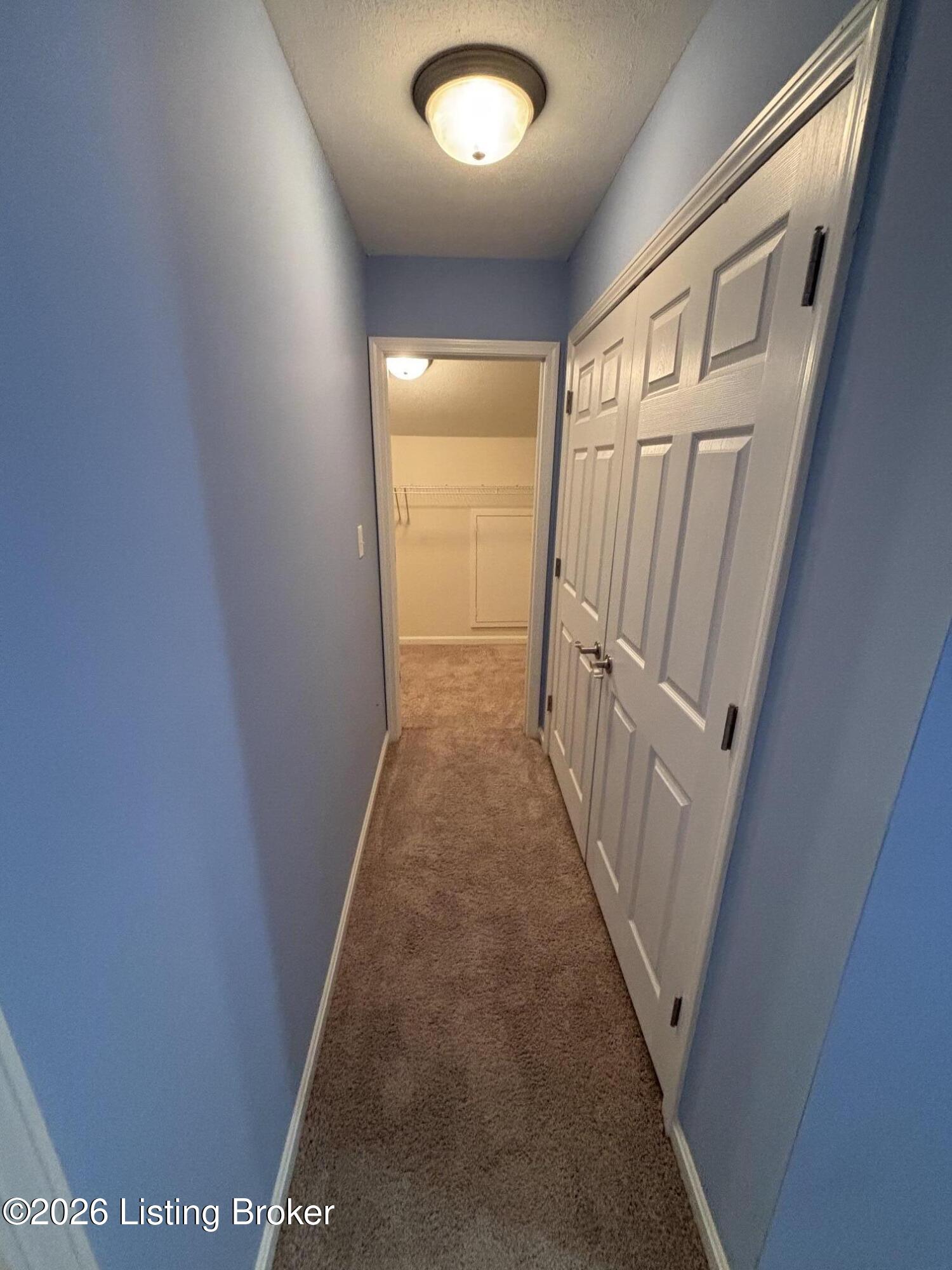 12630 Spring Haven Ct Property Photo 66