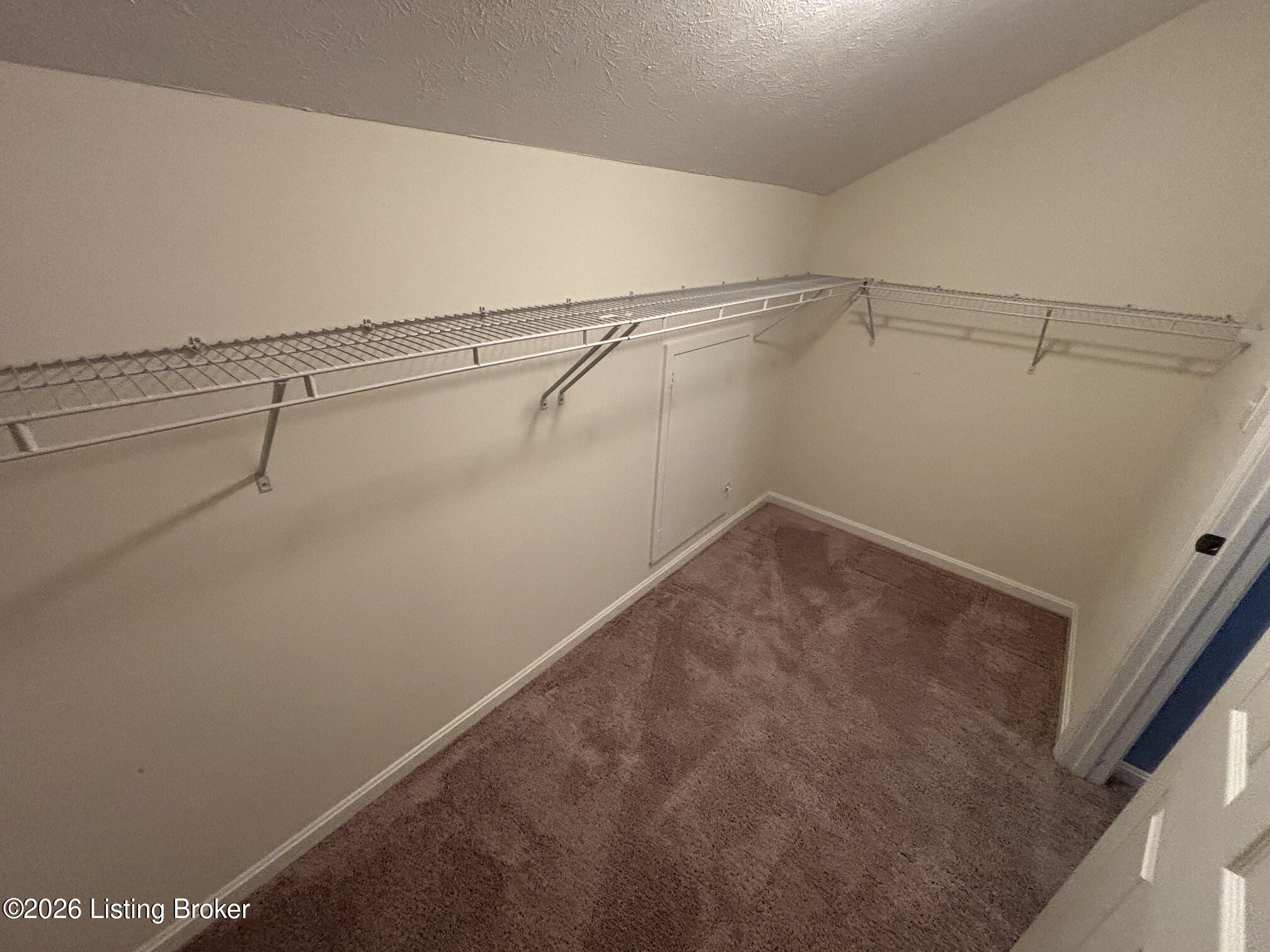 12630 Spring Haven Ct Property Photo 68