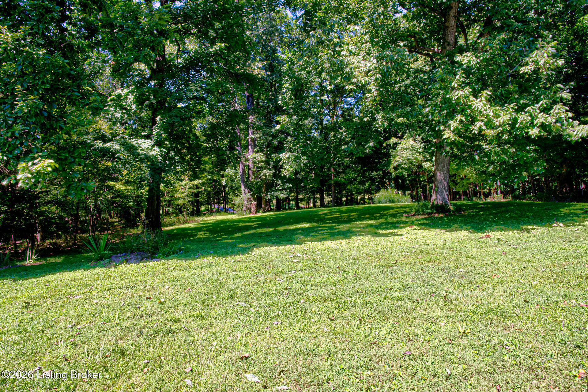 282 Halls Ln Property Photo 56