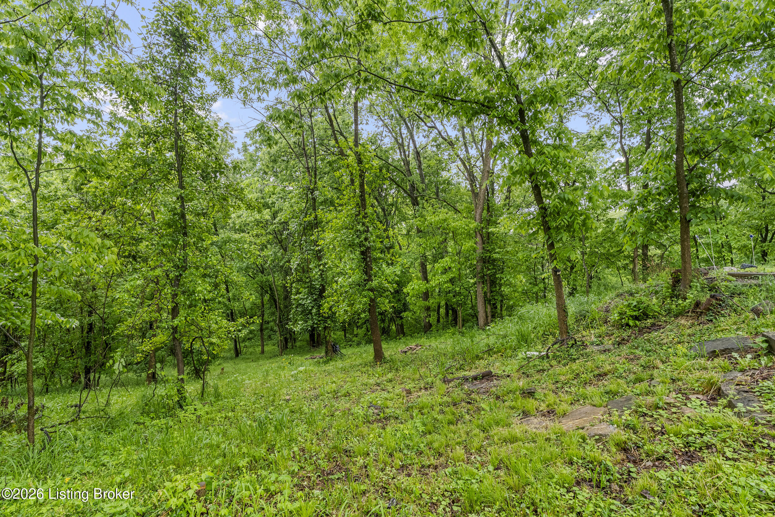 137 Eastview Dr Property Photo 44