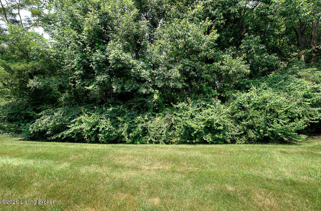 7023 Adeno Way Property Photo 34