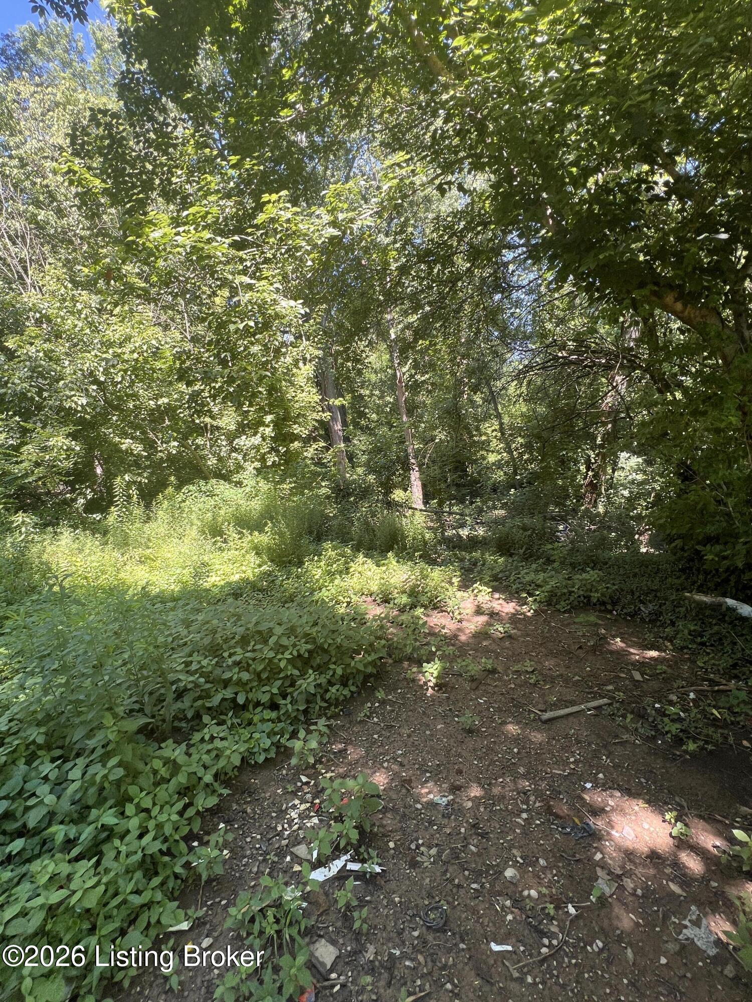 4812 Overbrook Dr Property Photo 11