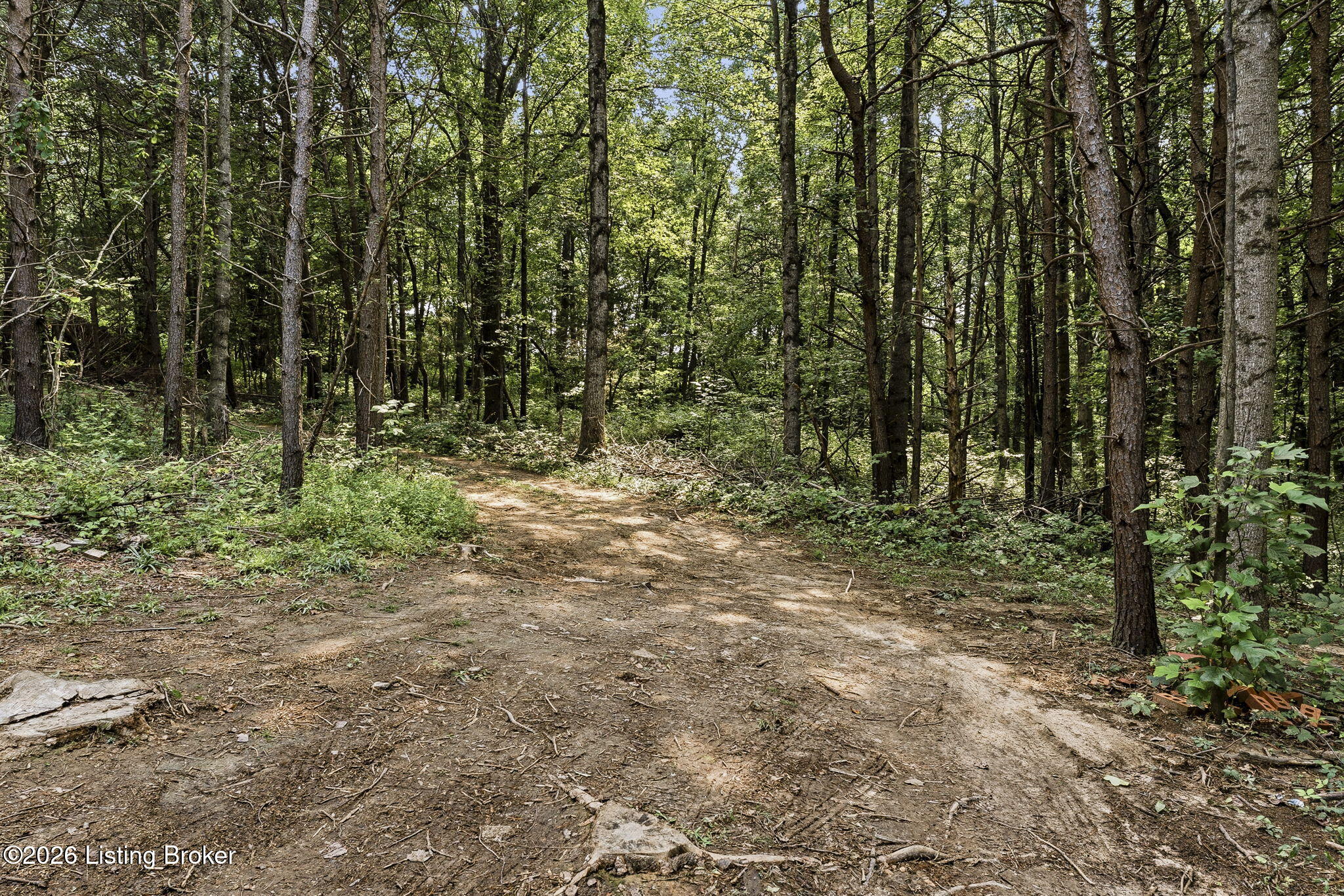 570 Spencer School Rd Property Photo 8