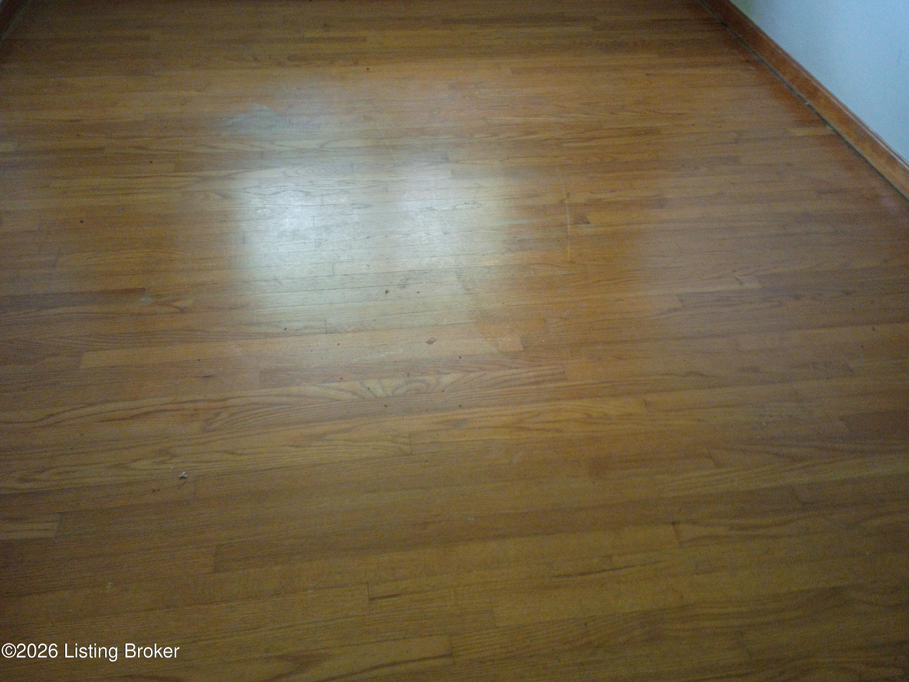 845 Bleemel Ln Property Photo 16