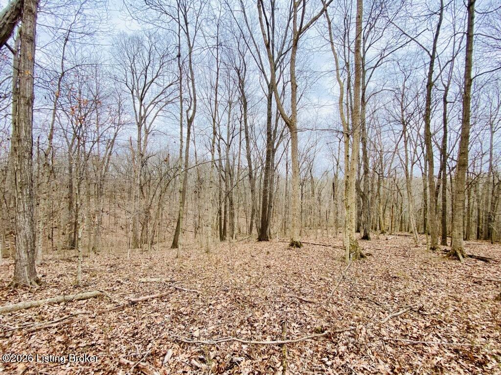 1100 Windy Way Ln Property Photo 8