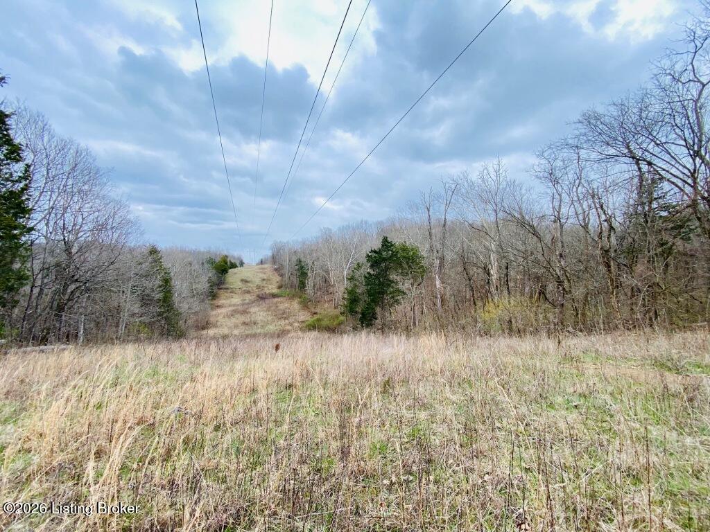 1100 Windy Way Ln Property Photo 10