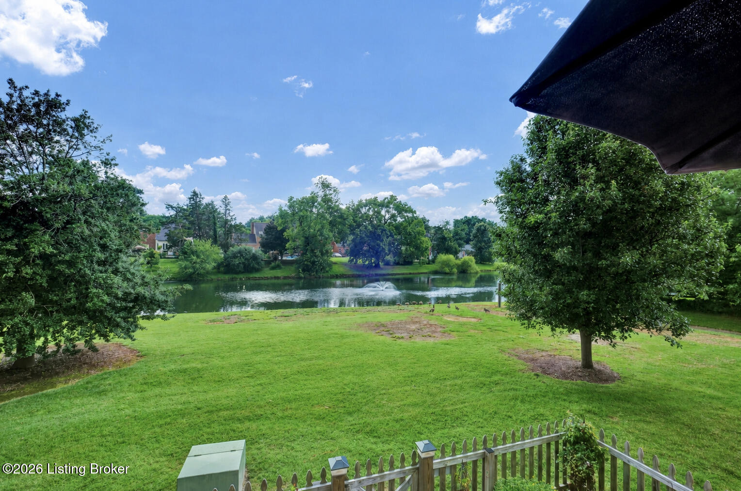 10402 Lakeshore Bluff Property Photo 11