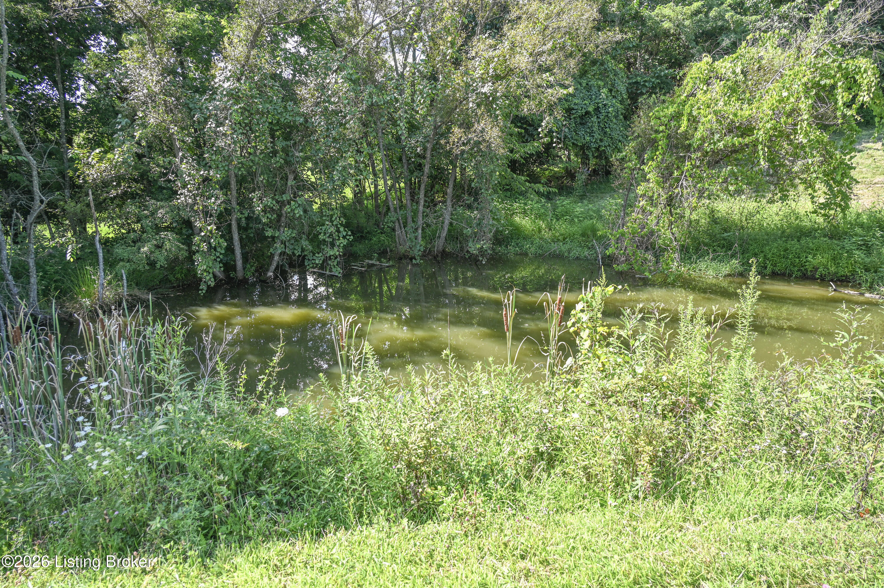 3979 Baker Ridge Rd Property Photo 26