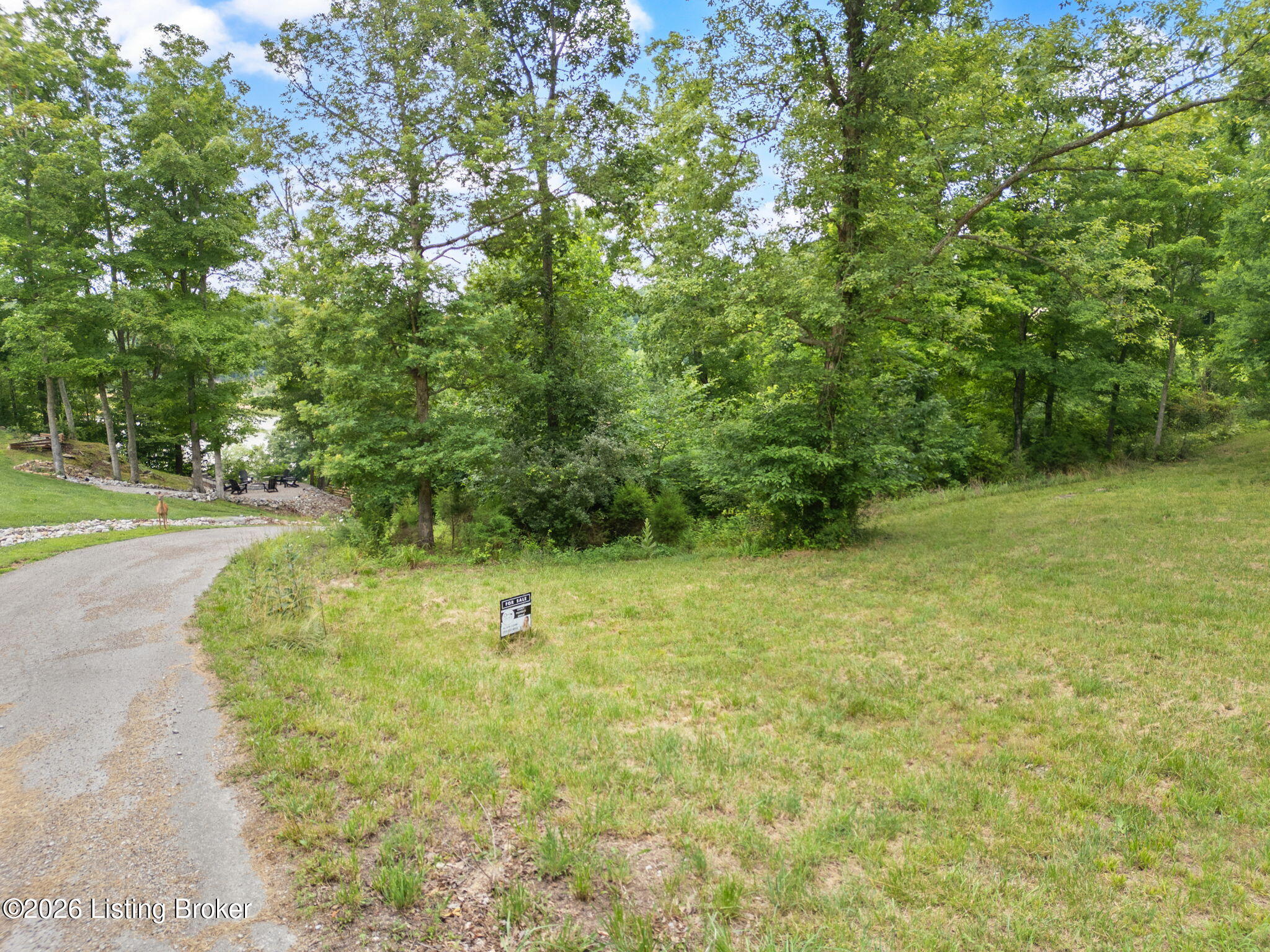 59 Patriot Vw Ln Property Photo 27