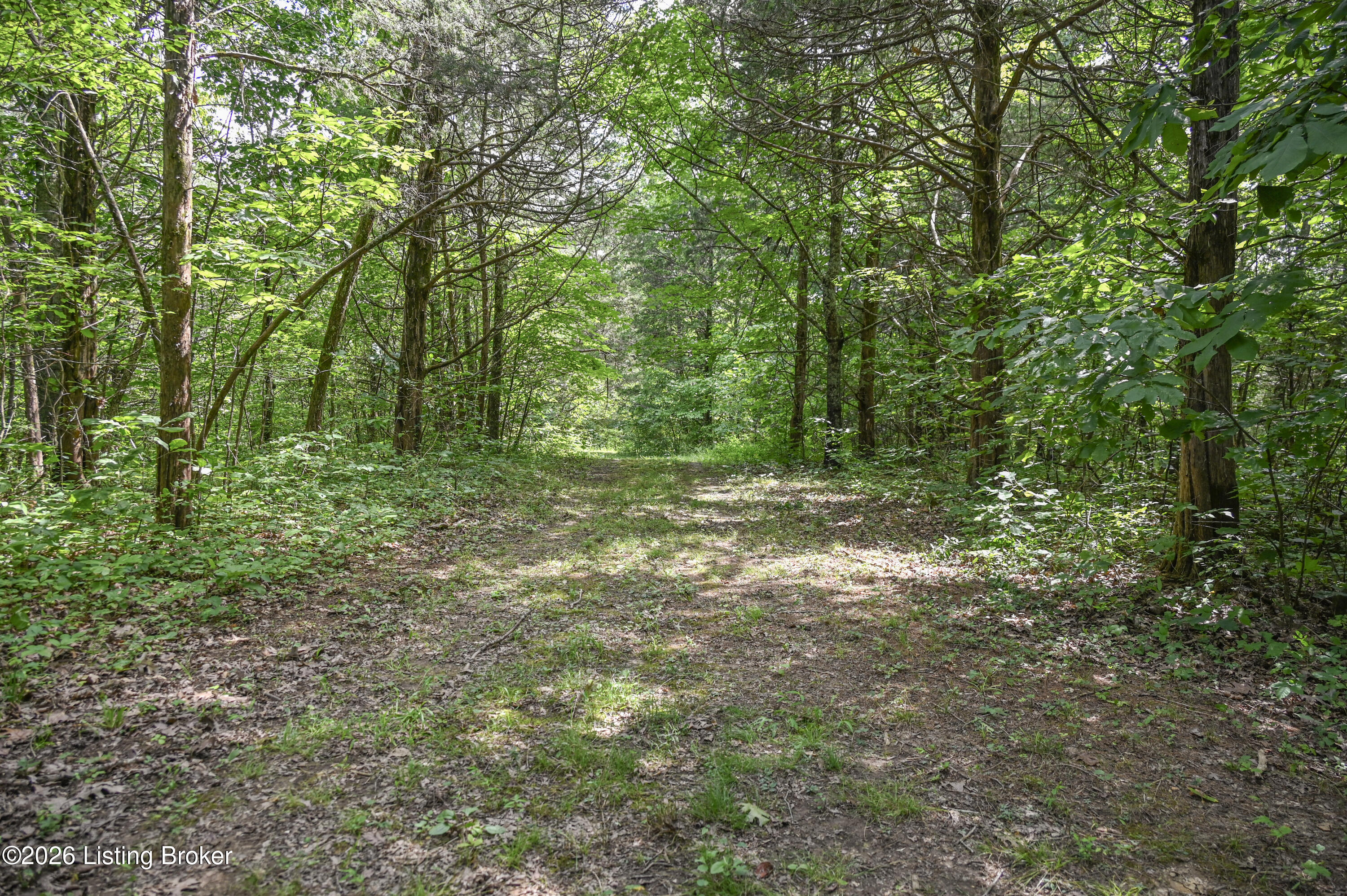 3977 Baker Ridge Rd Property Photo 13