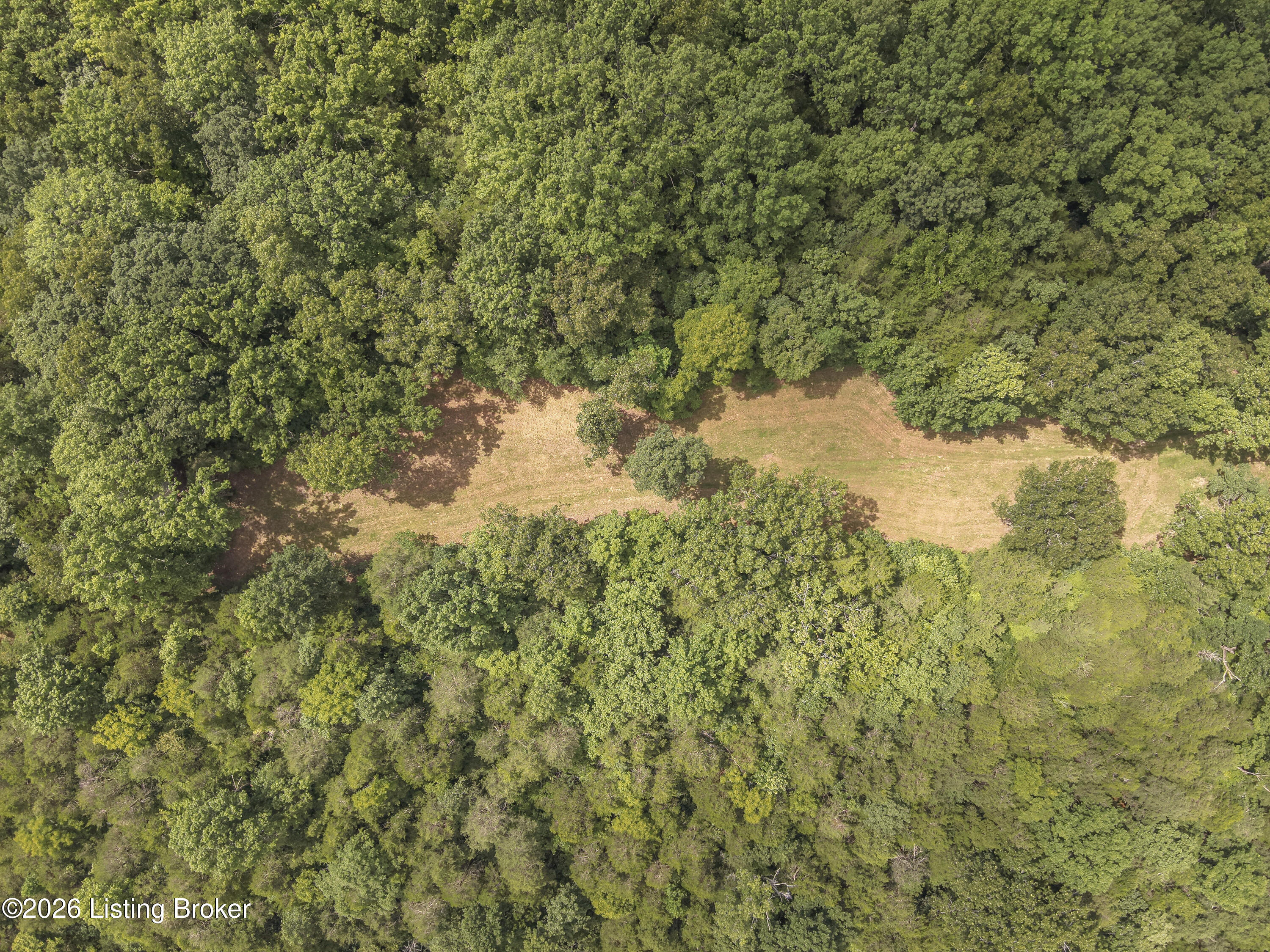 3977 Baker Ridge Rd Property Photo 14