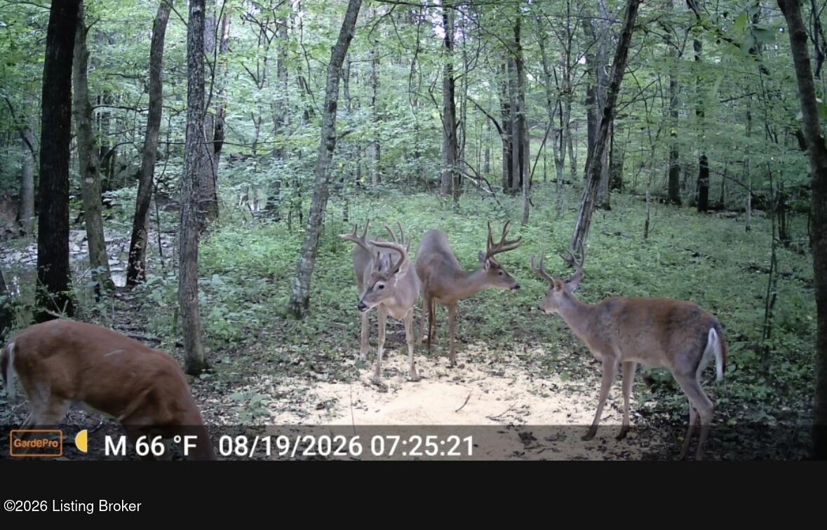 3977 Baker Ridge Rd Property Photo 20