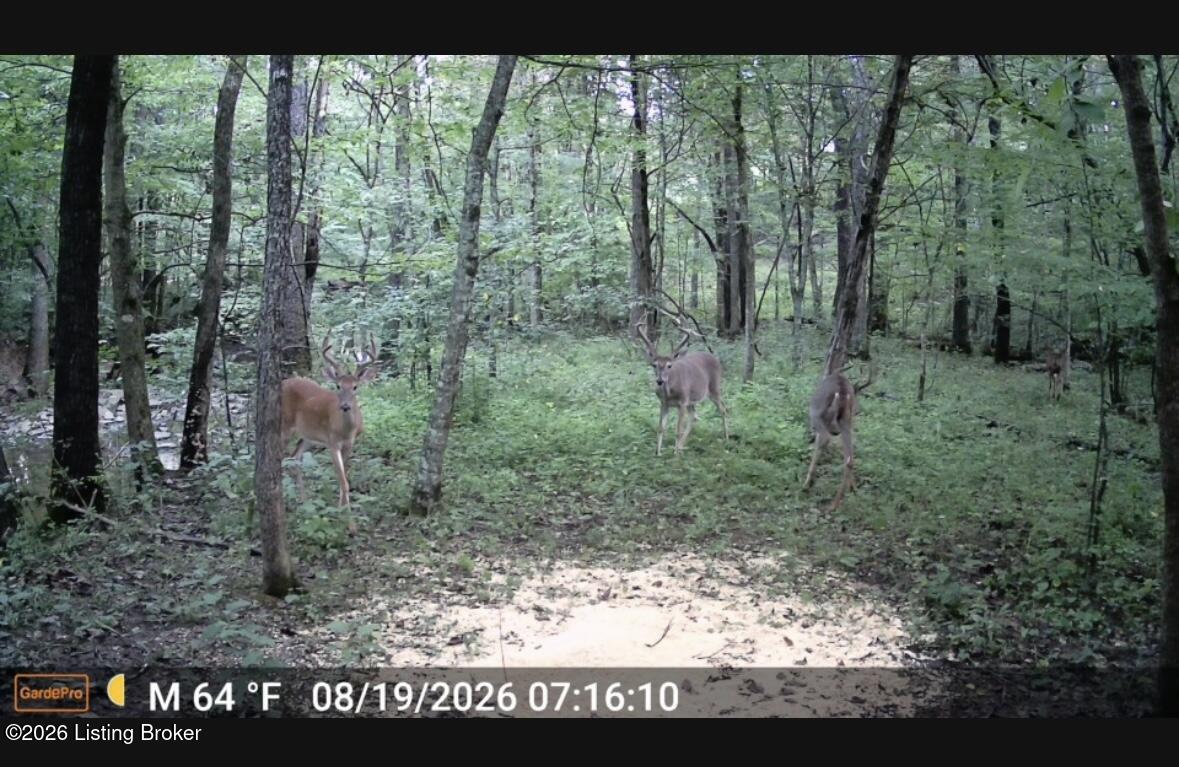 3977 Baker Ridge Rd Property Photo 24