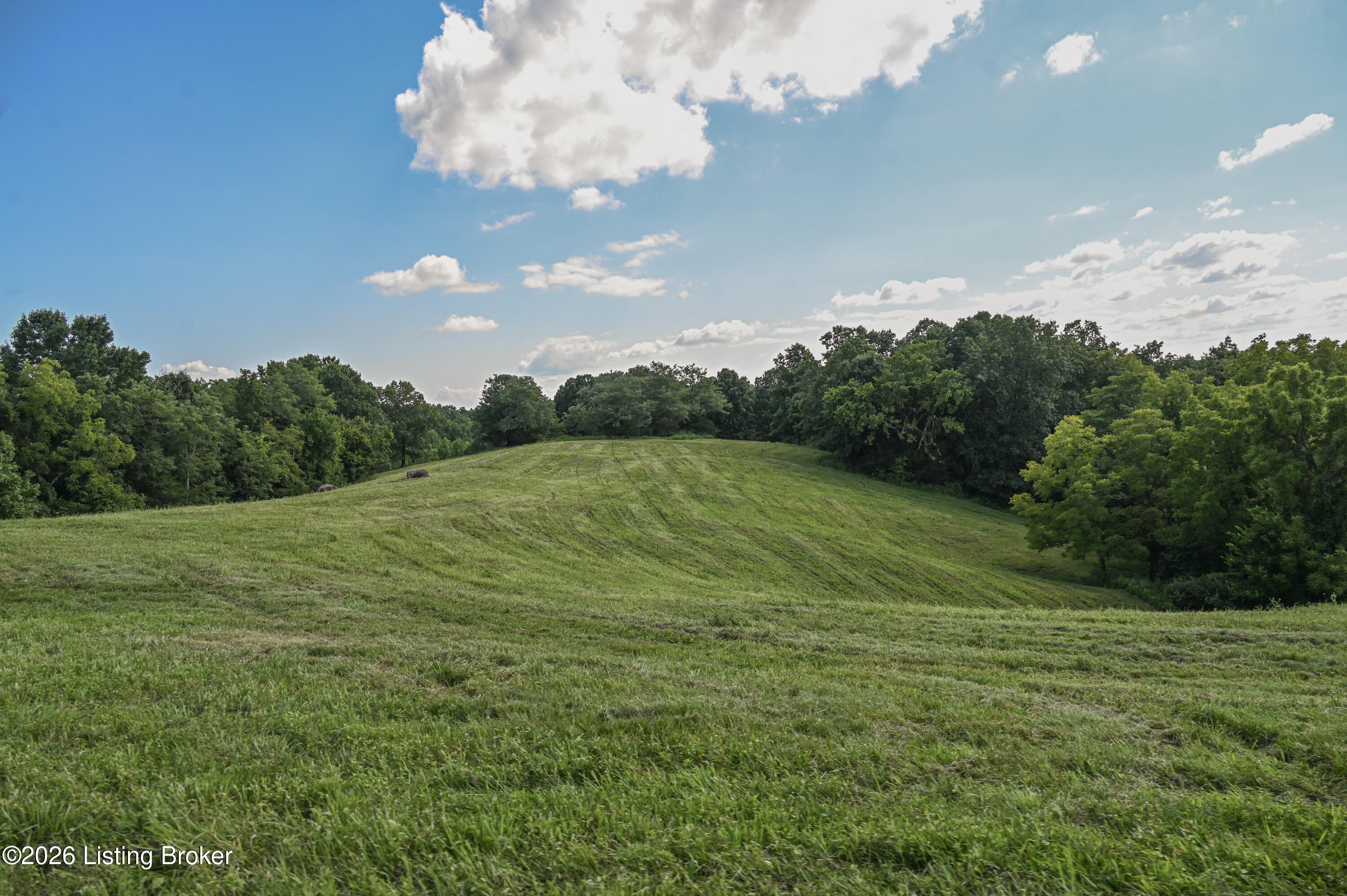 3981 Baker Ridge Rd Property Photo 4
