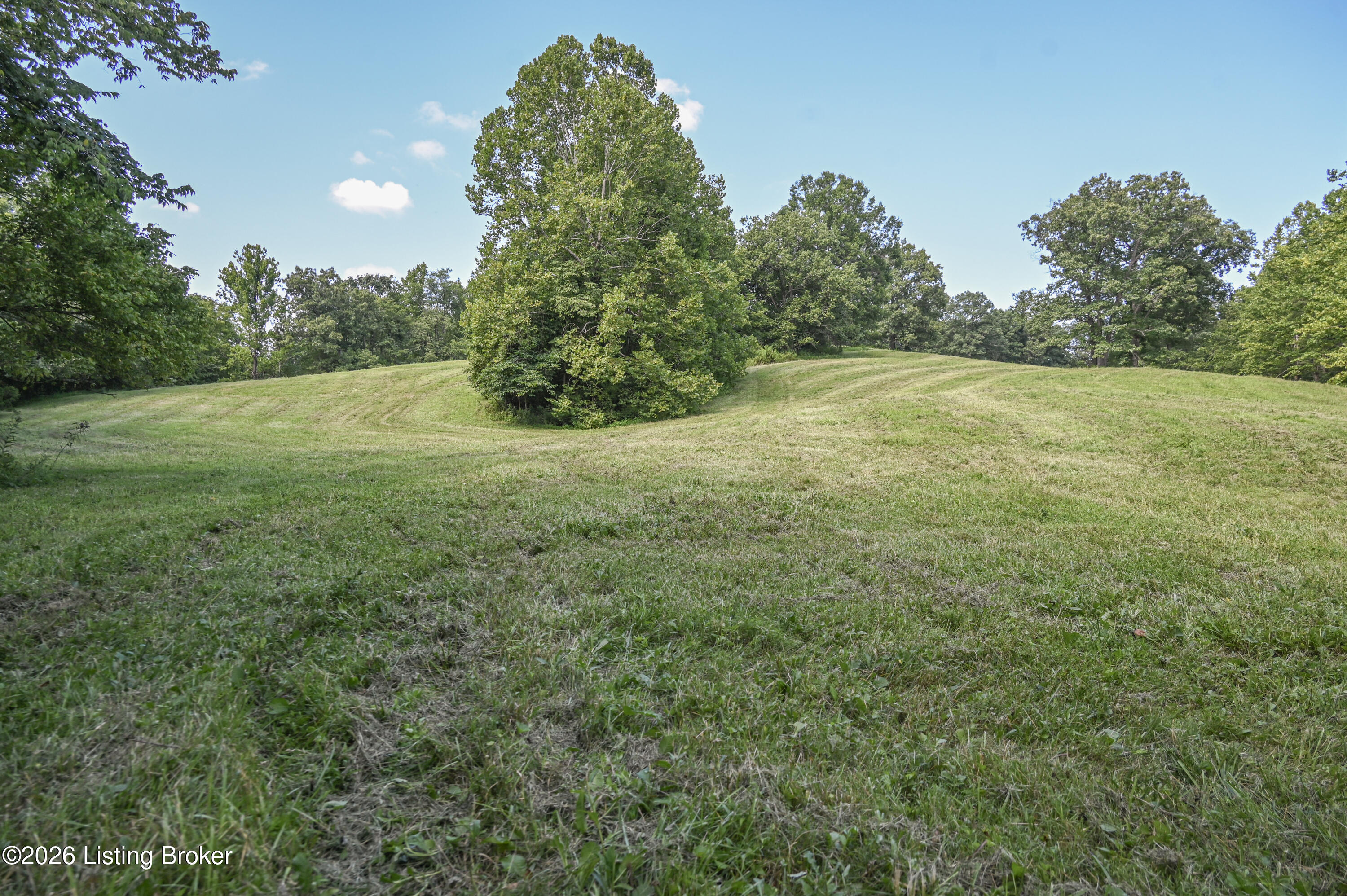 3981 Baker Ridge Rd Property Photo 5