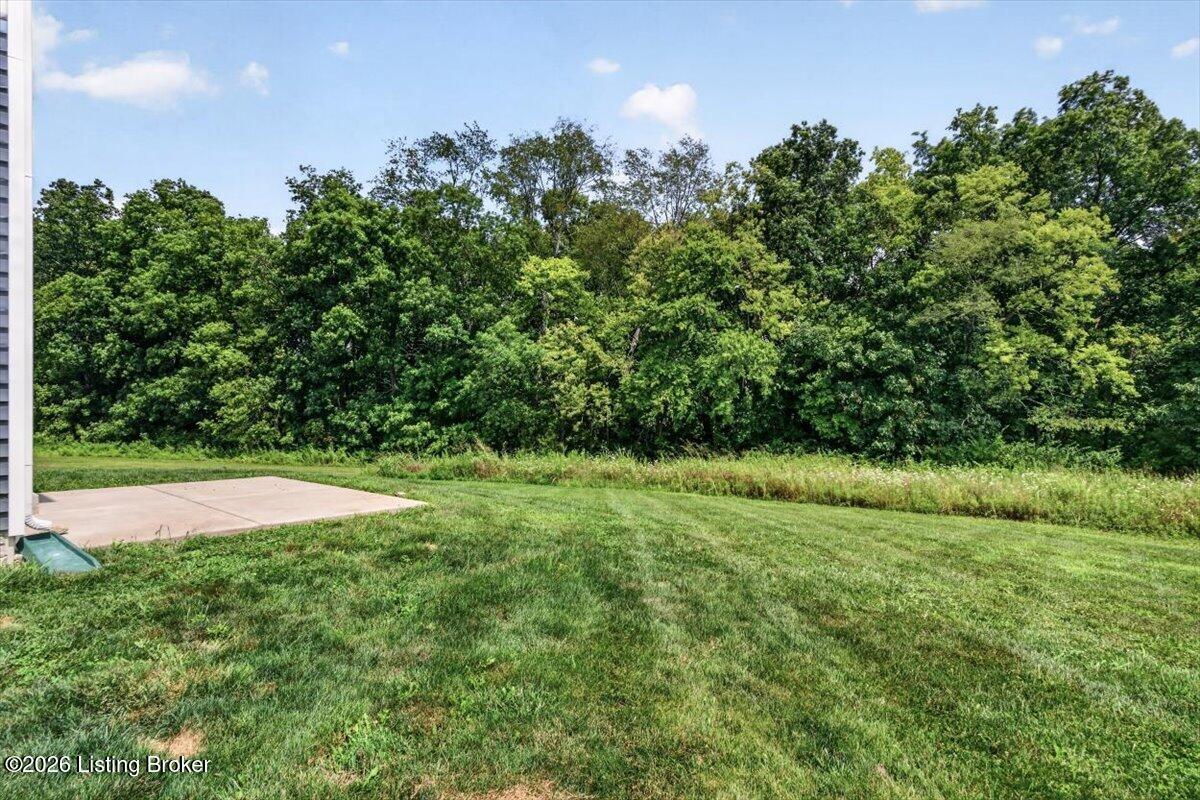 1034 Dry Run Ct Property Photo 4