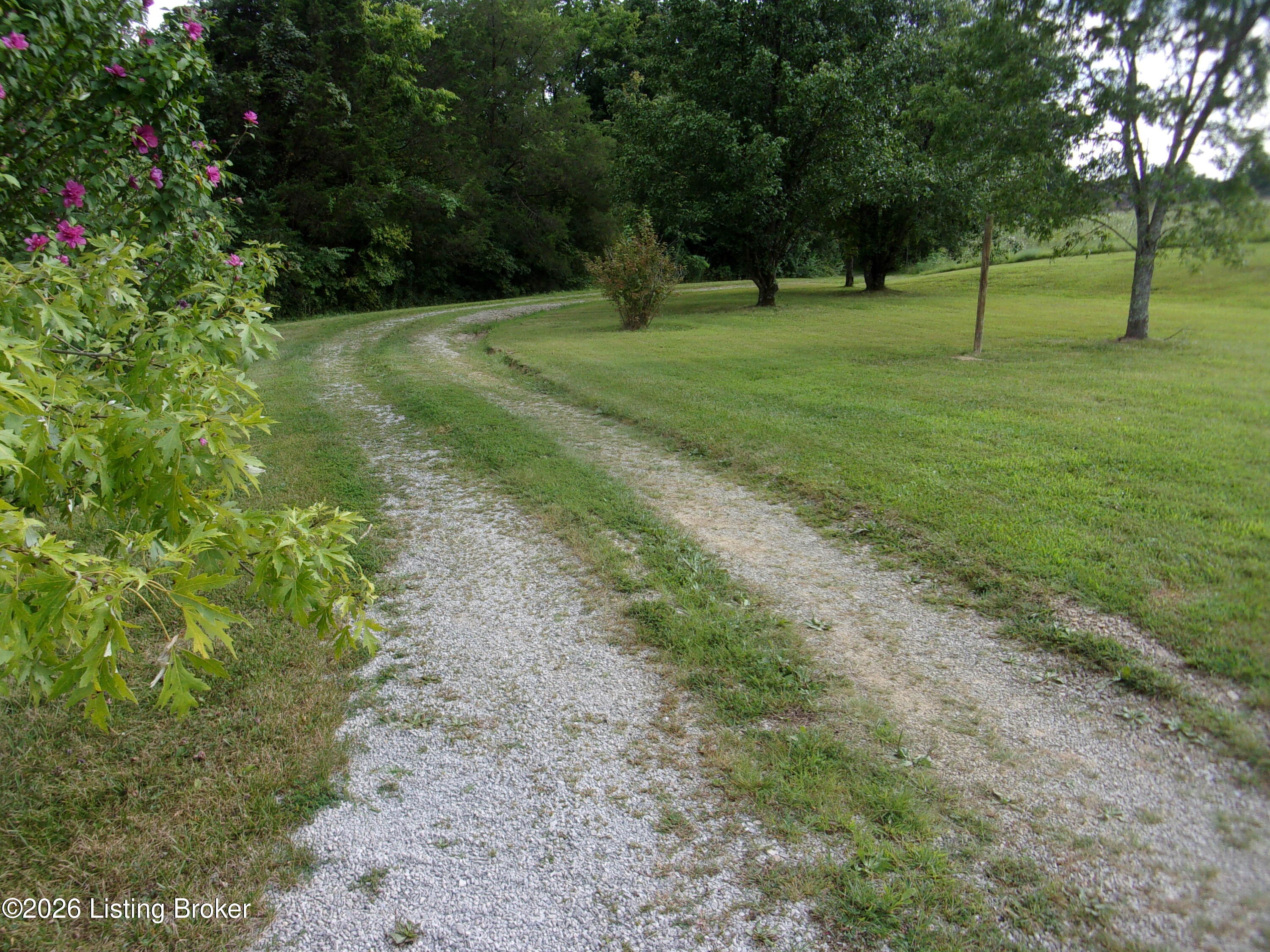 2399 Ashes Creek Rd Property Photo 5