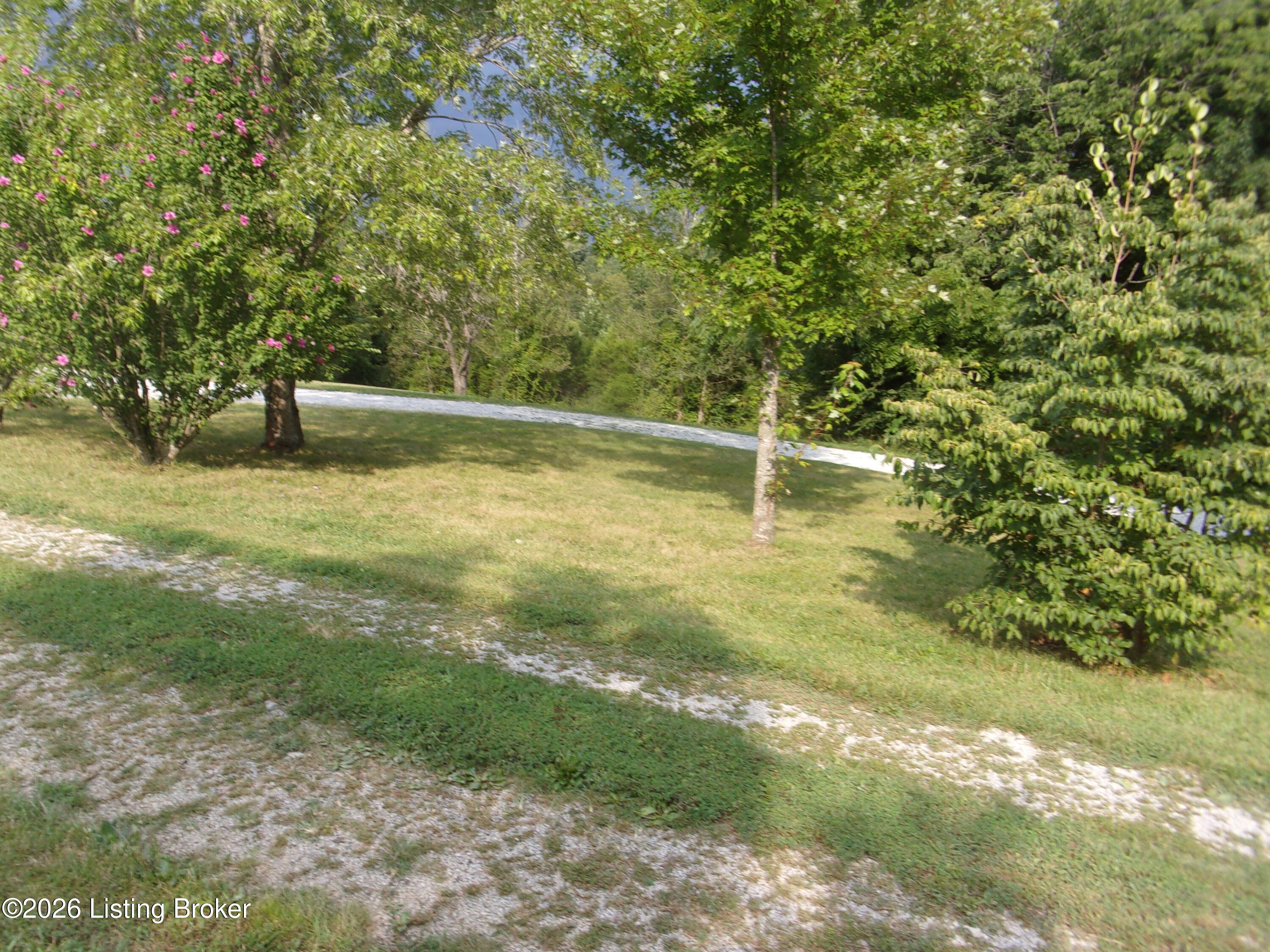 2399 Ashes Creek Rd Property Photo 7