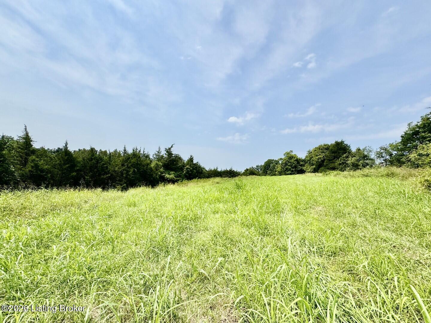 4223 Chaplin Rd Property Photo 42