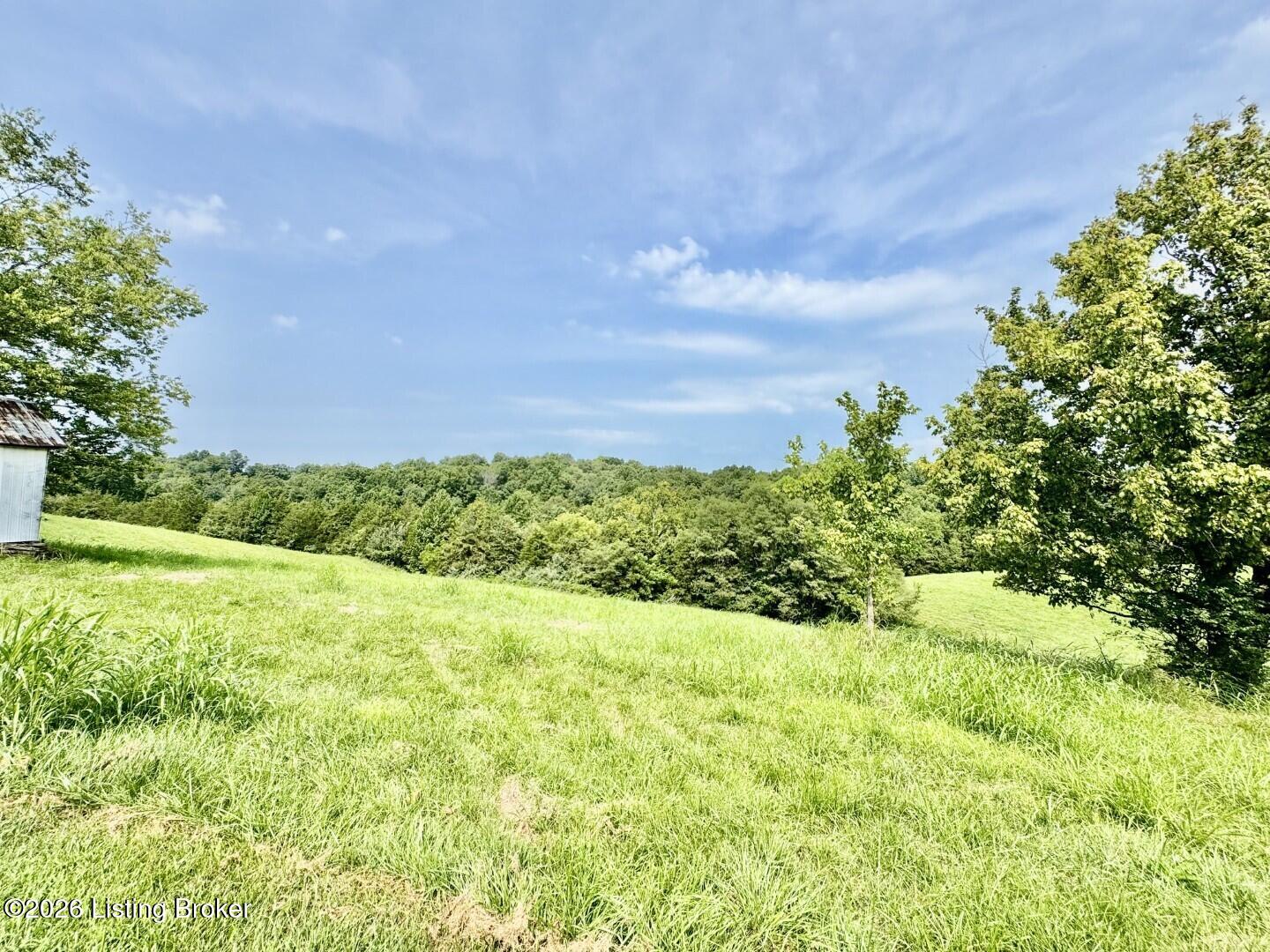 4223 Chaplin Rd Property Photo 44