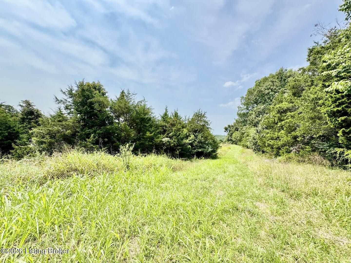 4223 Chaplin Rd Property Photo 46