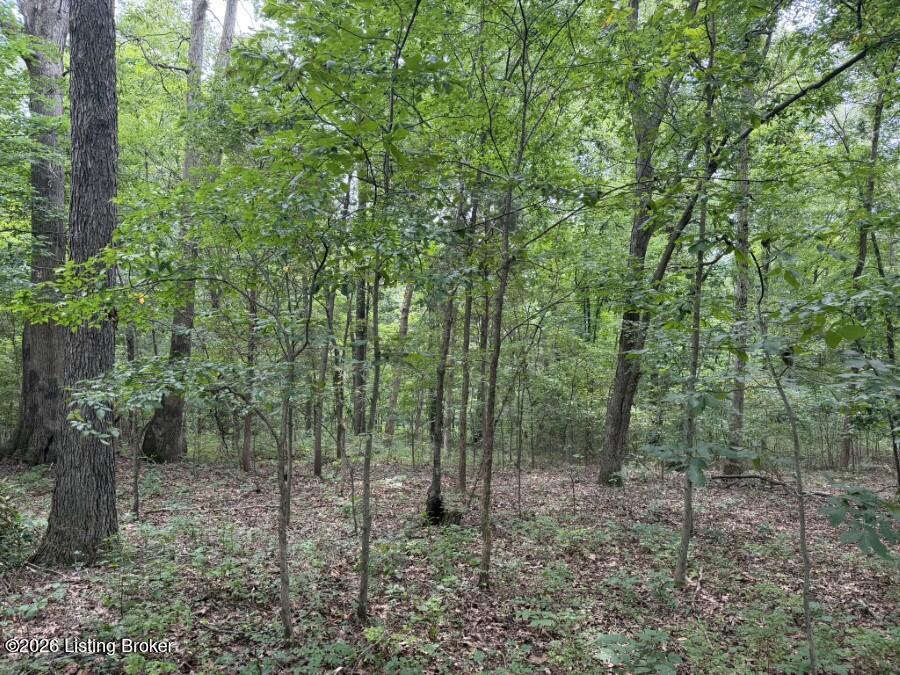 4002 Ky-259 Property Photo 3