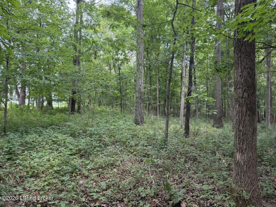 4002 Ky-259 Property Photo 4