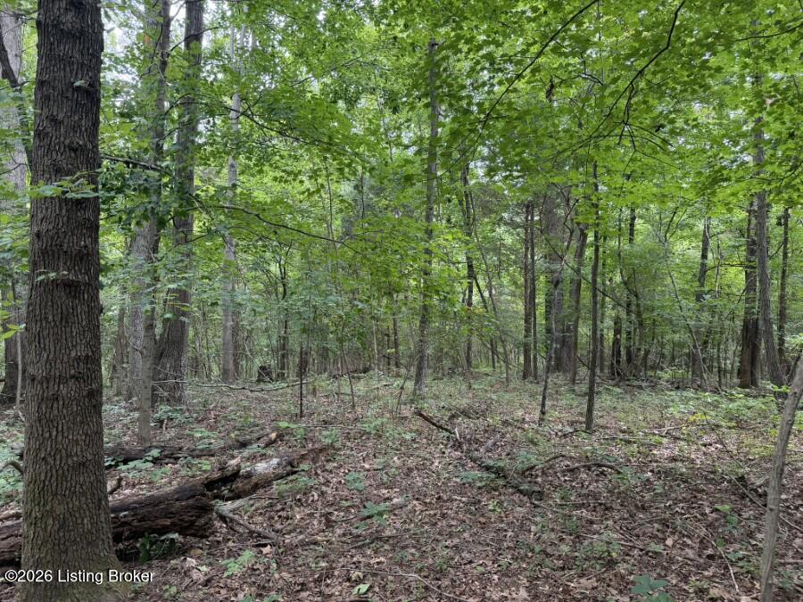 4002 Ky-259 Property Photo 5
