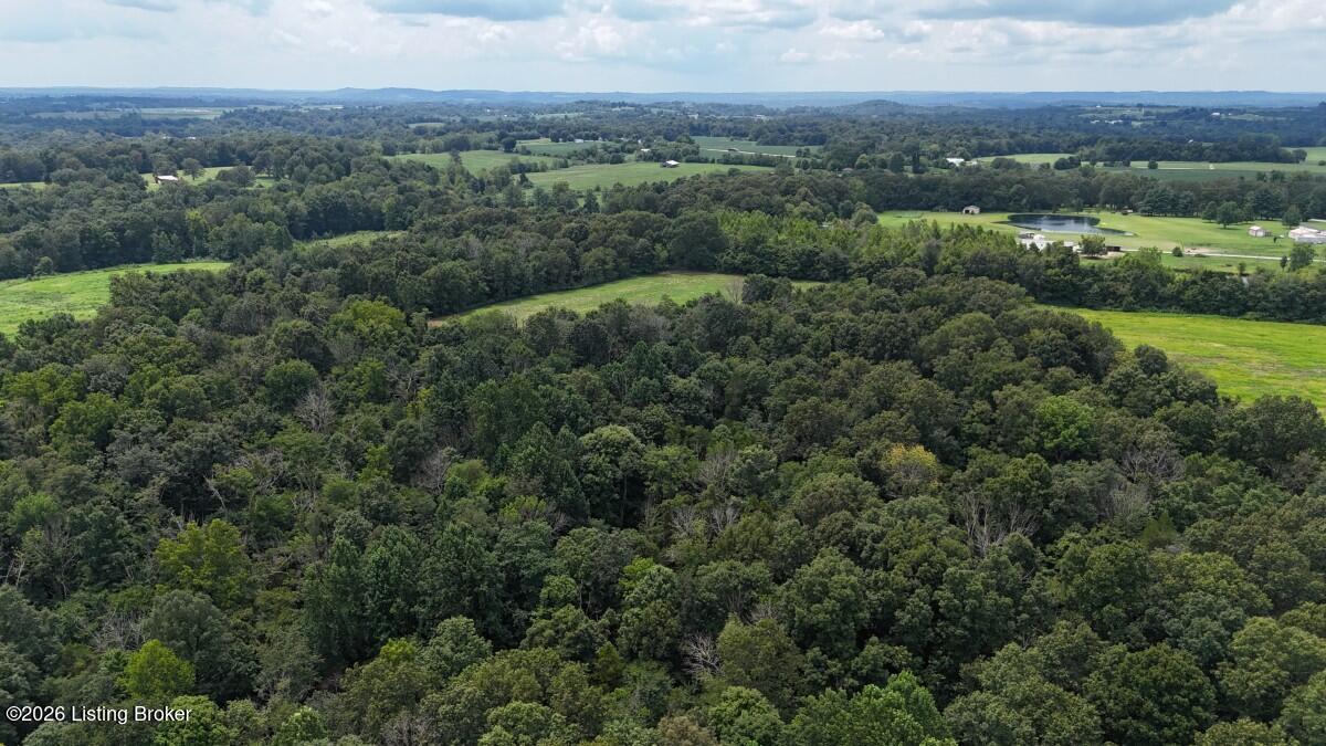 4002 Ky-259 Property Photo 6