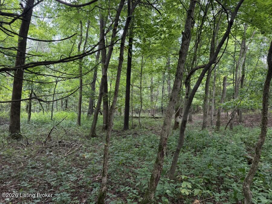 4002 Ky-259 Property Photo 7
