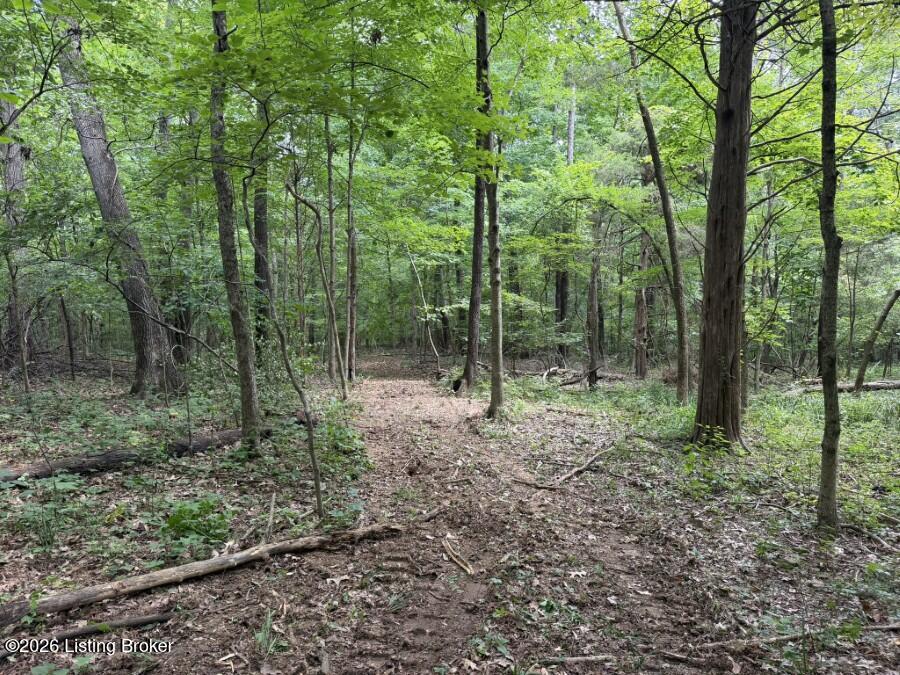 4002 Ky-259 Property Photo 8
