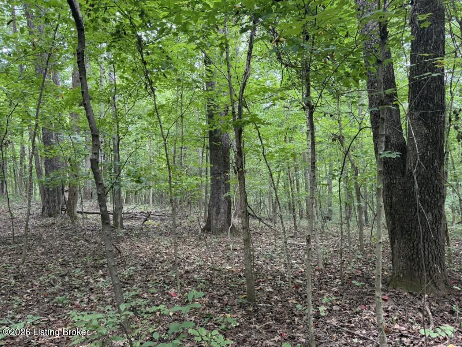 4002 Ky-259 Property Photo 9