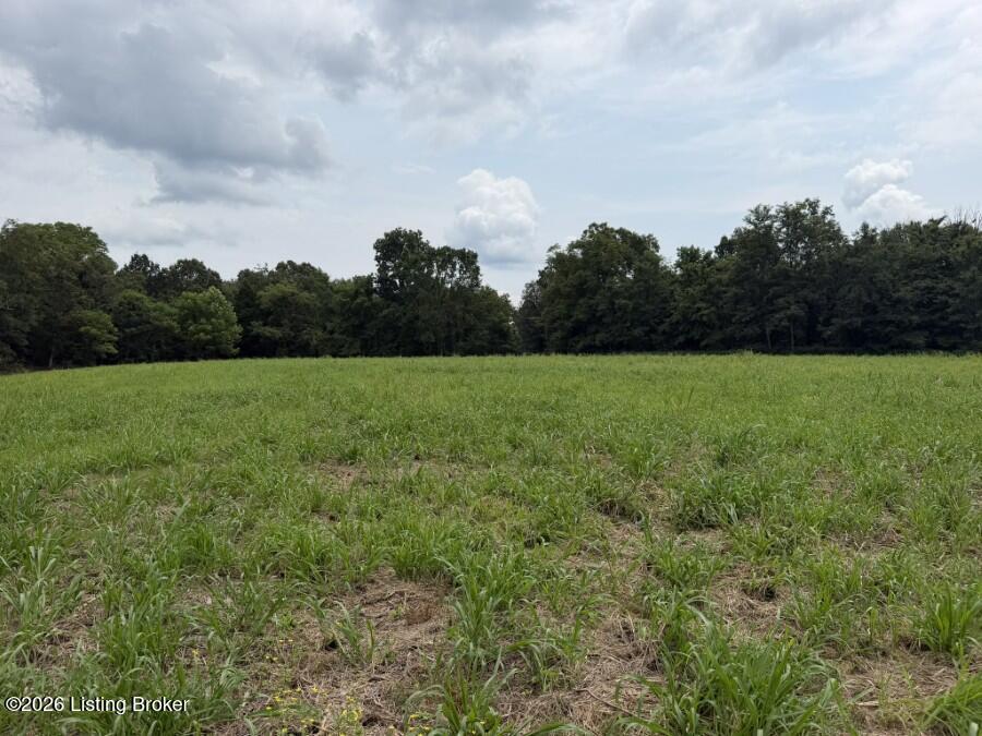 4002 Ky-259 Property Photo 12