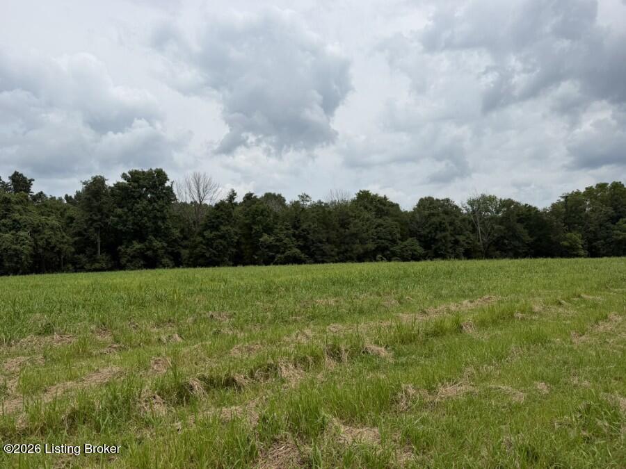 4002 Ky-259 Property Photo 13