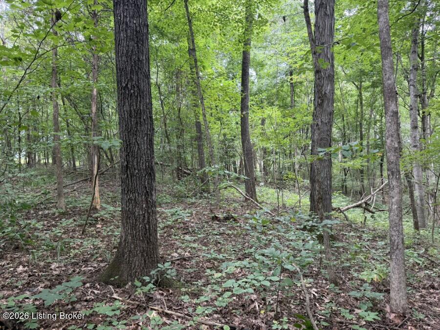 4002 Ky-259 Property Photo 15