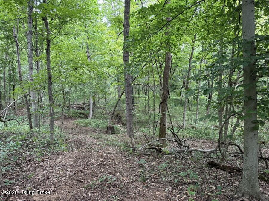 4002 Ky-259 Property Photo 16