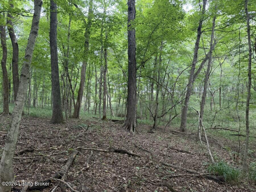 4002 Ky-259 Property Photo 17