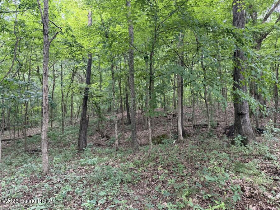 4002 Ky-259 Property Photo 18