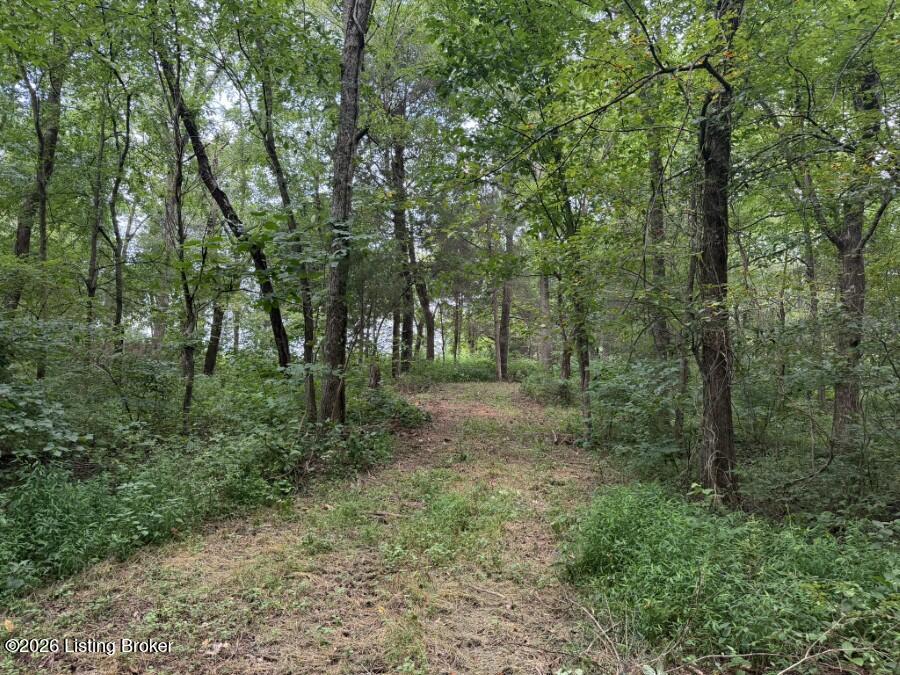 4002 Ky-259 Property Photo 20