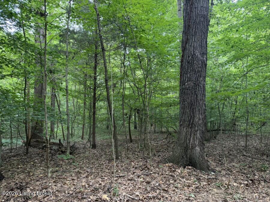 4002 Ky-259 Property Photo 21