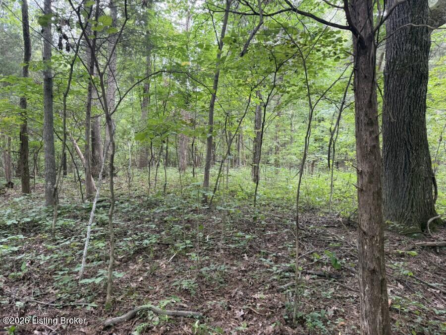 4002 Ky-259 Property Photo 22