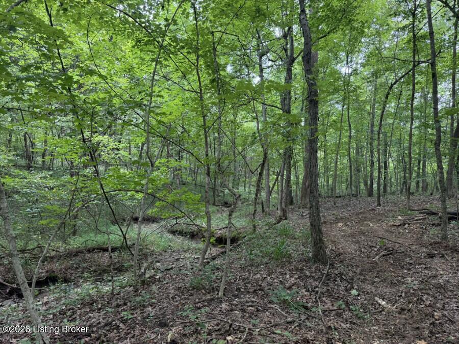 4002 Ky-259 Property Photo 24