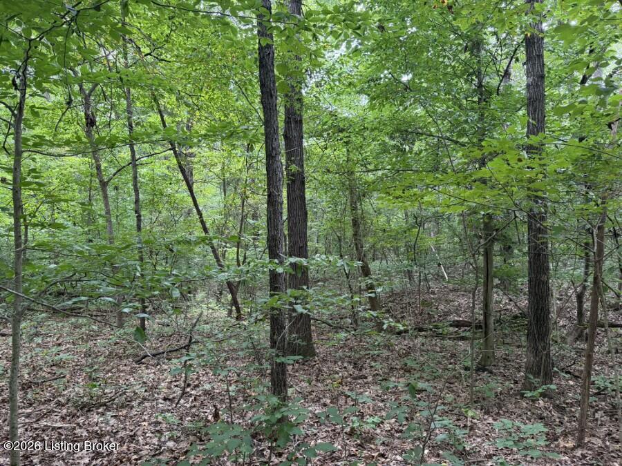 4002 Ky-259 Property Photo 25
