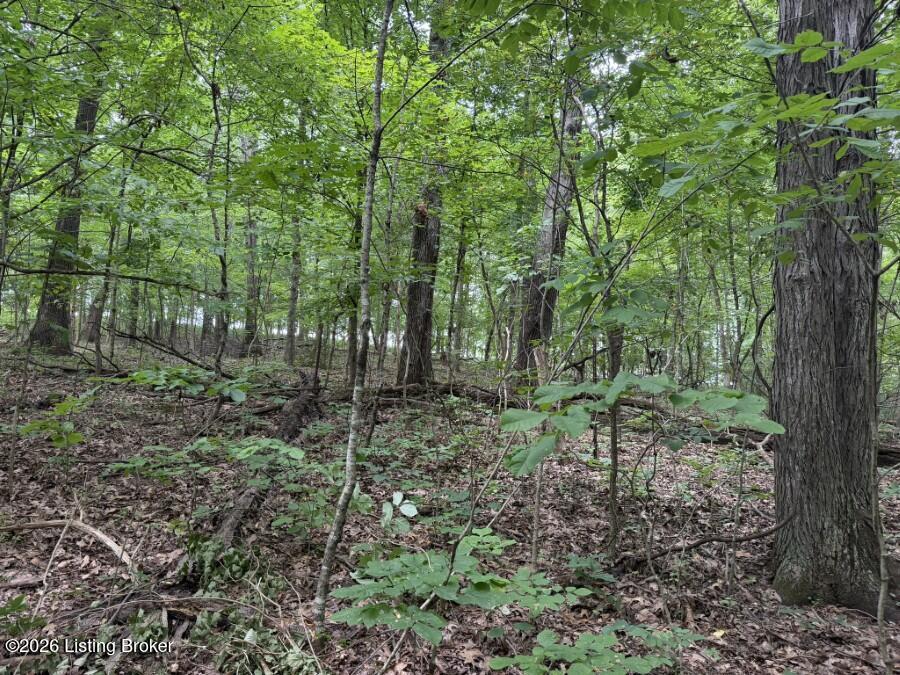4002 Ky-259 Property Photo 26