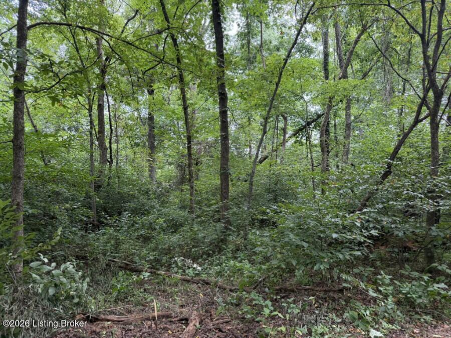 4002 Ky-259 Property Photo 27