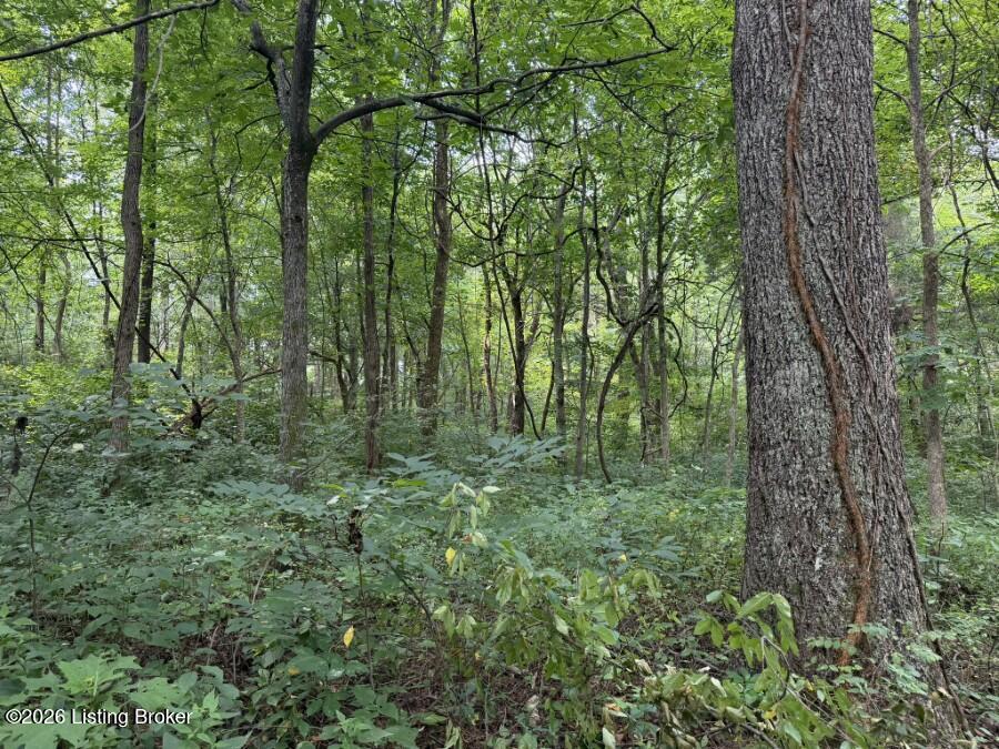 4002 Ky-259 Property Photo 28
