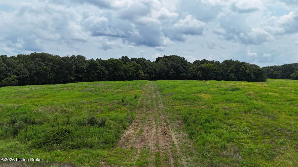 4002 Ky-259 Property Photo 29