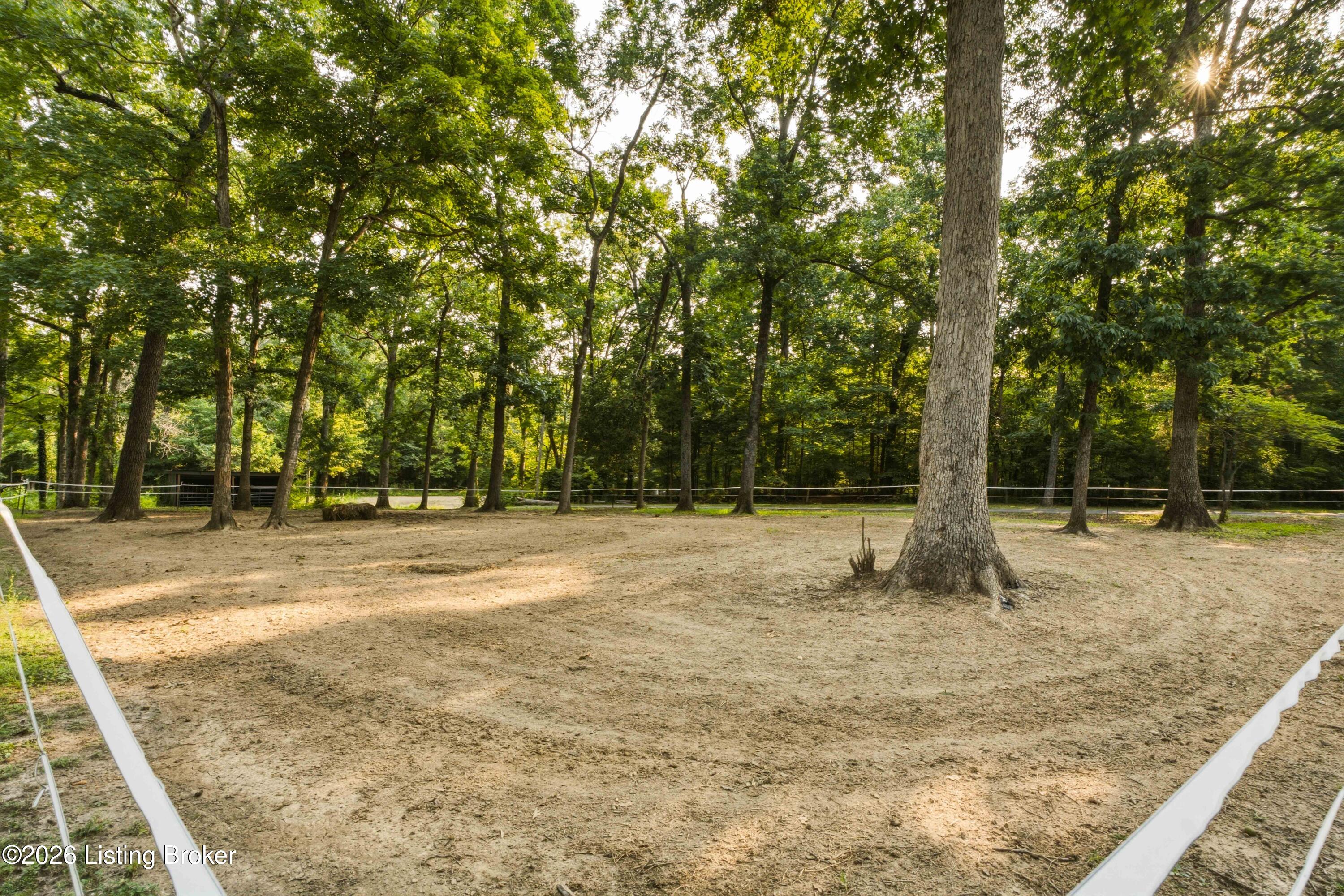 114 Pine Creek Trail Property Photo 87