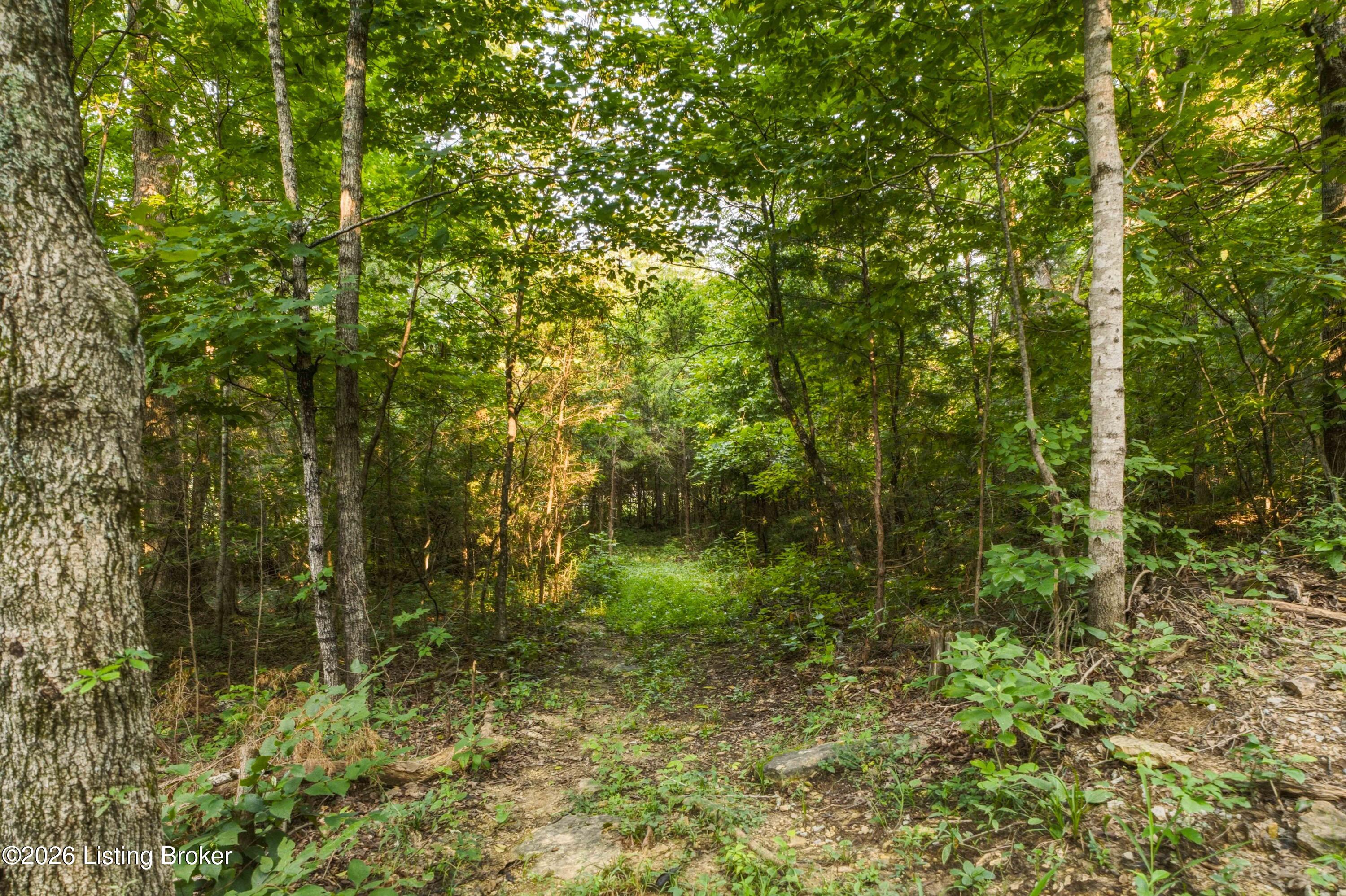 114 Pine Creek Trail Property Photo 95
