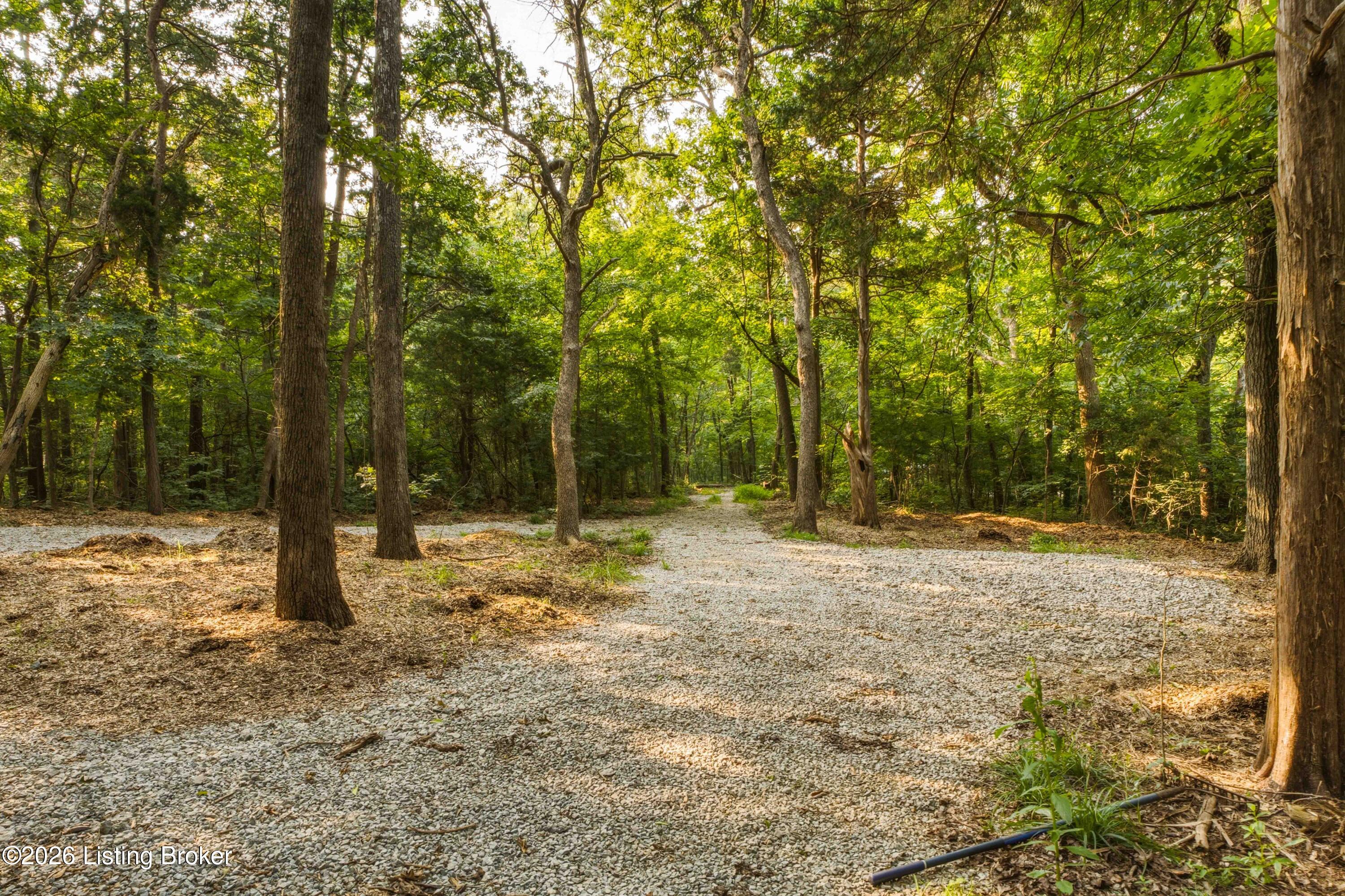 114 Pine Creek Trail Property Photo 97